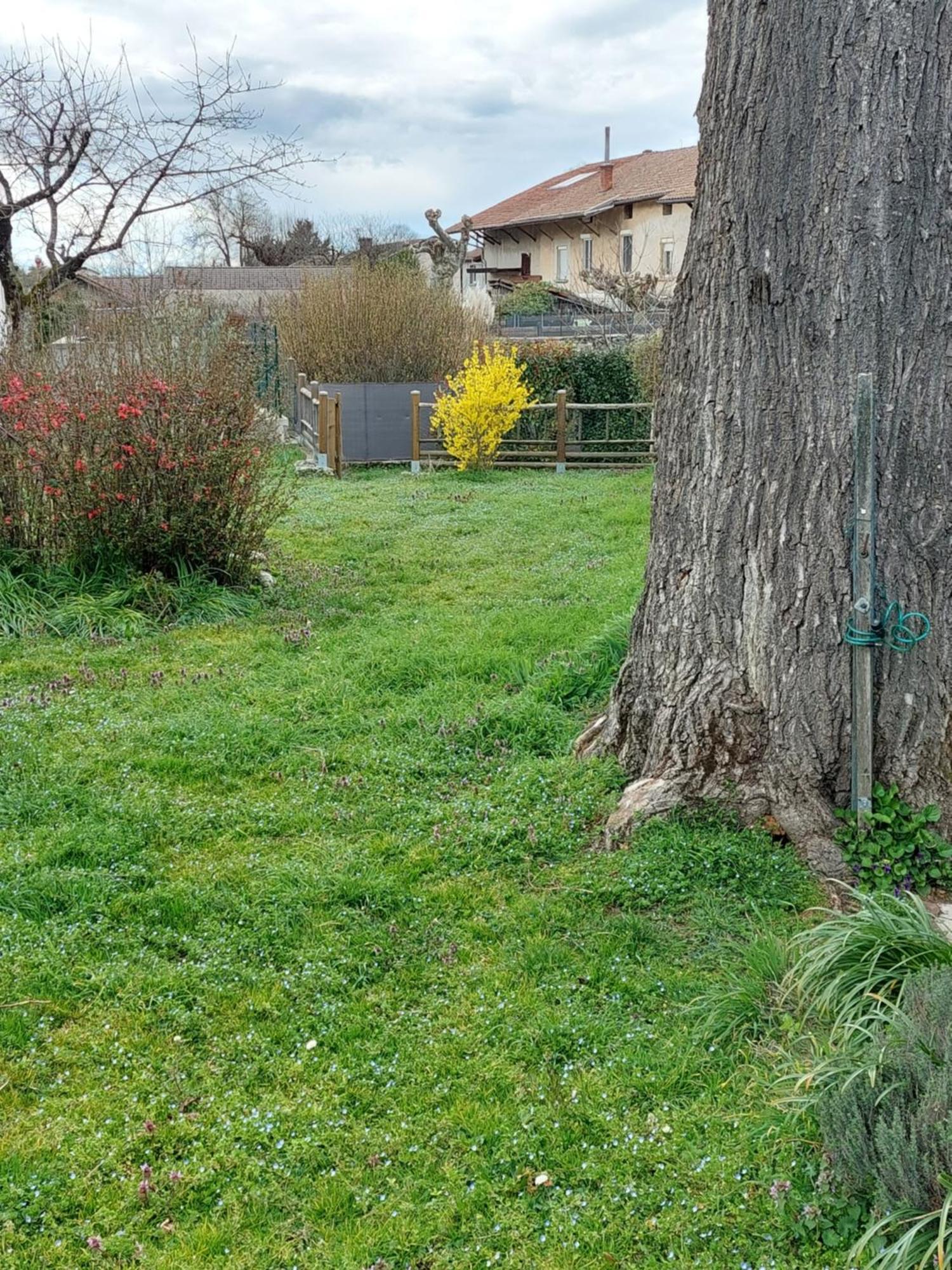 Les Copains D'abord *
